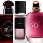 Midnight Muse Bundle