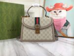 Gucci bags
