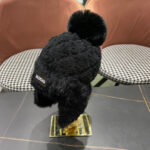 Balenciaga Balenciaga logo new knitted yarn ear protection Lei Feng hat, a must-have tool for keeping warm in autumn and winter, simple and warm - Image 3