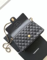 Chanel bags - Image 7