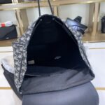 Dior bags - Image 8