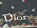 Dior bags - Image 5