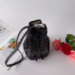 Goya bags