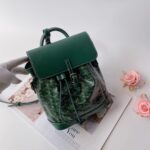 Goya bags