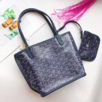 Goya bags