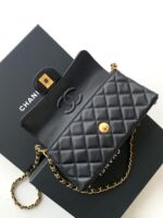 Chanel bags - Image 7