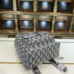 Dior bags - Image 6