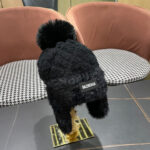 Balenciaga Balenciaga logo new knitted yarn ear protection Lei Feng hat, a must-have tool for keeping warm in autumn and winter, simple and warm - Image 4