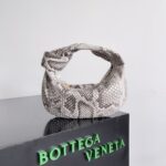 Bottega Veneta bags