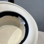 💰白色

Dior迪奥新款羊毛礼帽，平顶礼帽，百分百羊毛面料🦙%，头围57cm - Image 8